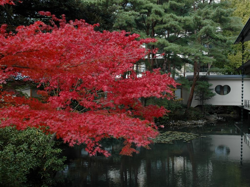 Matsusaki Nomi Buitenkant foto